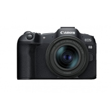 微型可换镜数码相机